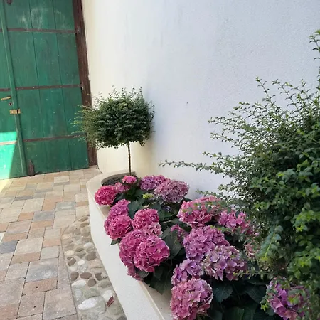 Sevdah - In The Centre, With Pool And Free Parking Appartement Mostar